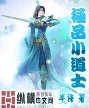 2024年新澳门天天开好彩大全雇佣军小说